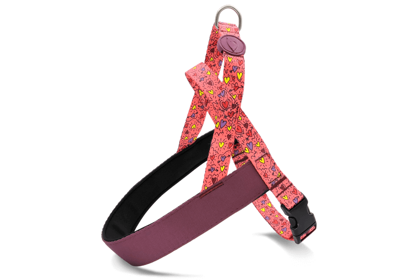 Pettorina Norvegese Pink Think